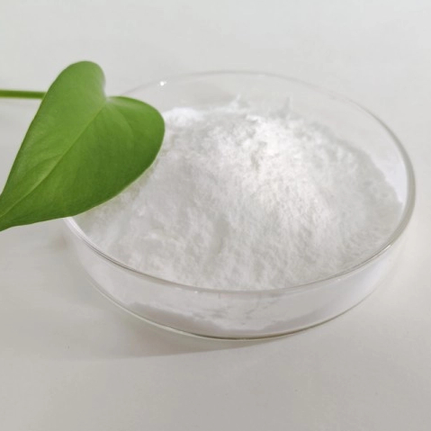 Bucladesine sodium CAS 16980-89-5