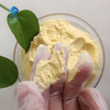 Yeast extract CAS 8013-01-2