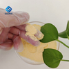 Gelatin CAS 9000-70-8